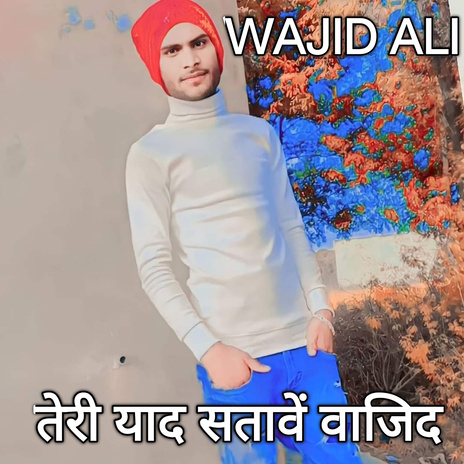 Teri Yaad Satave Wajid | Boomplay Music