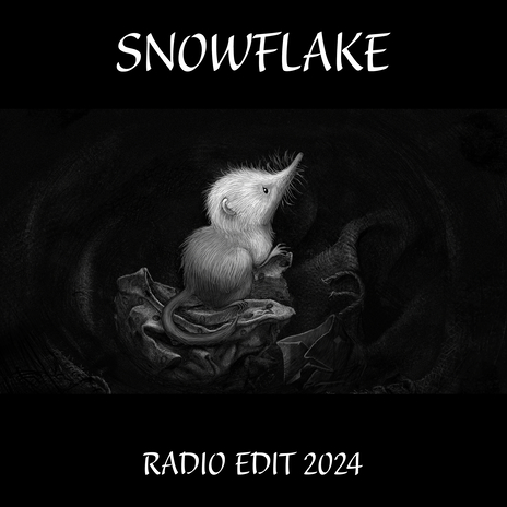 Snowflake (Radio Edit 2024) | Boomplay Music