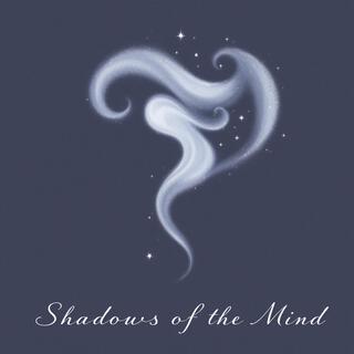 Shadows of the Mind