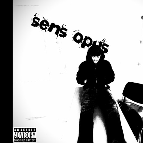 SENS OPUS | Boomplay Music