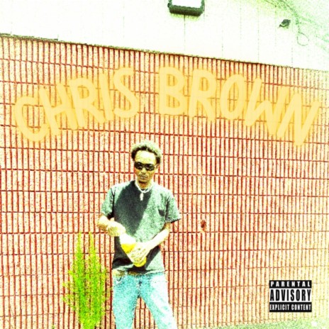 Chris Brown | Boomplay Music