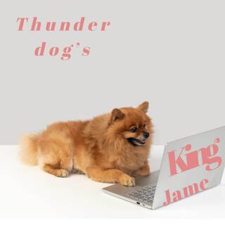 Thunder dogs