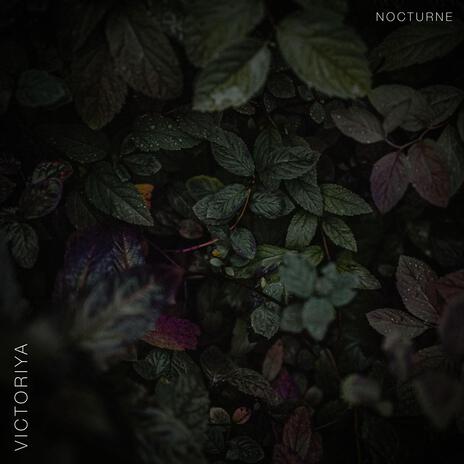 Nocturne | Boomplay Music