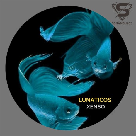 Lunaticos (original Mix)