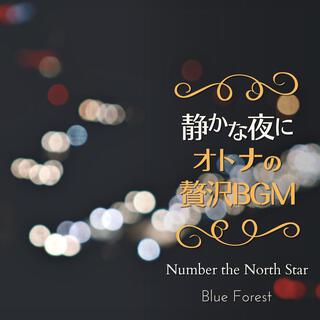 静かな夜に〜大人の贅沢bgm〜 - Number the North Star