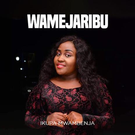 Wamejaribu | Boomplay Music