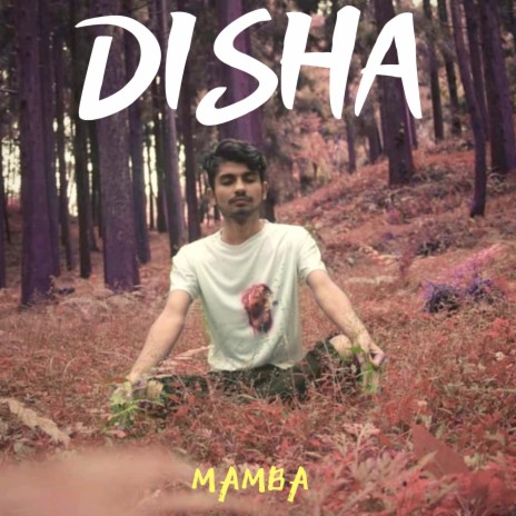 Disha ft. The Thembers | Boomplay Music
