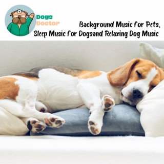 Background Music for Pets, Sleep Music for Dogs and Relaxing Dog Music