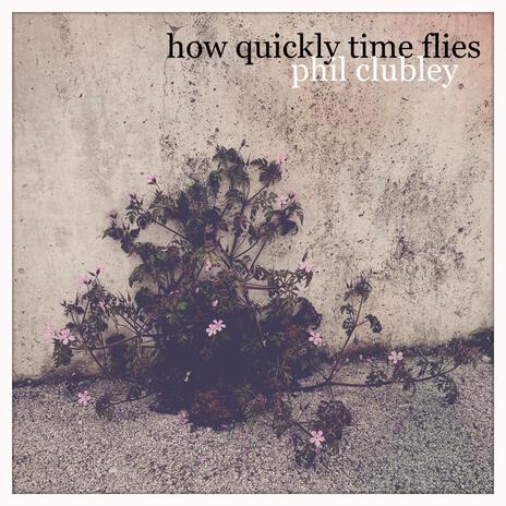 How Quickly Time Flies | Boomplay Music