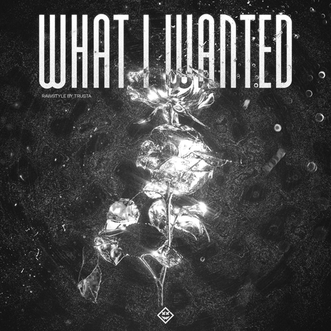 What I Wanted | Boomplay Music