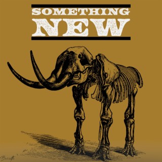 Something New lyrics | Boomplay Music