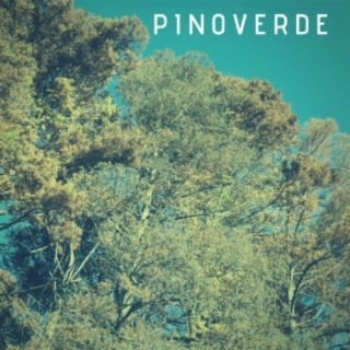 Pino Verde