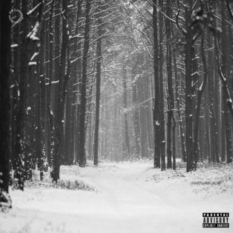 winternikes (Radio Edit) | Boomplay Music
