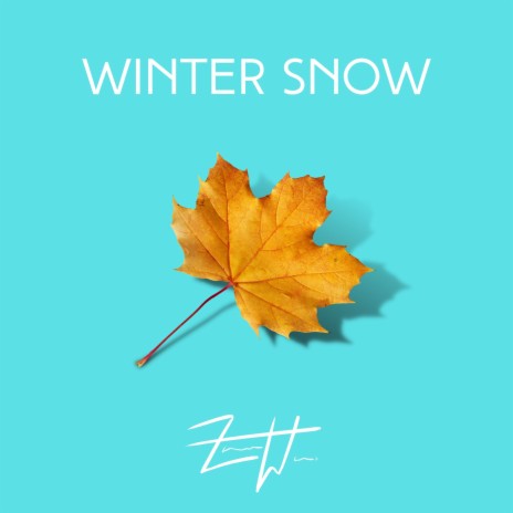 Winter Snow | Boomplay Music