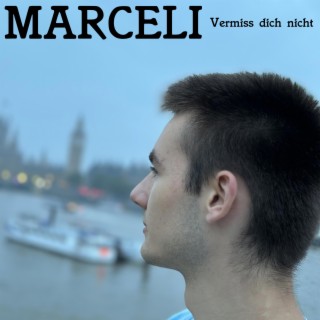 Vermiss dich nicht lyrics | Boomplay Music