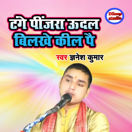 Tange Pinjara Udal Bilkhe Keel Pe | Boomplay Music