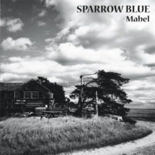 Sparrow Blue