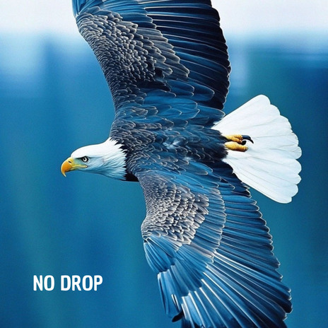 No Drop | Boomplay Music