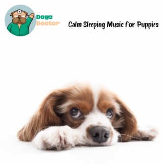 Calm Sleeping Music for Puppies