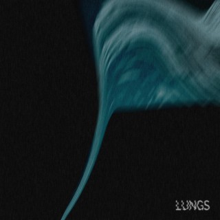 Lungs