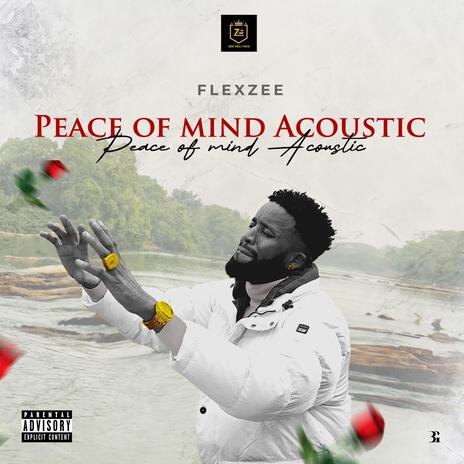 Peace Of Mind (Acoustic) | Boomplay Music