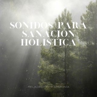 Sonidos para Sanación Holística: Una Colección de Música de Meditación