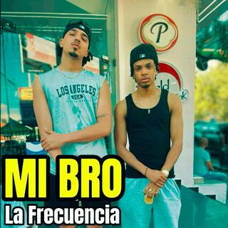 Mi Bro