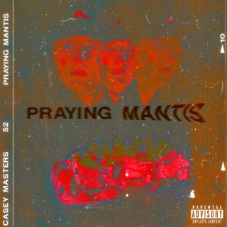 Praying Mantis lyrics | Boomplay Music