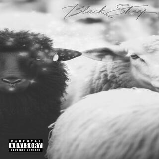 Black Sheep