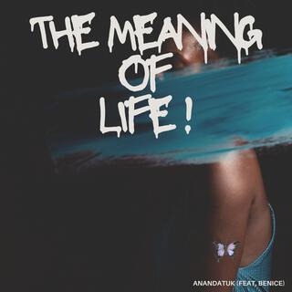 The Meaning Of Life