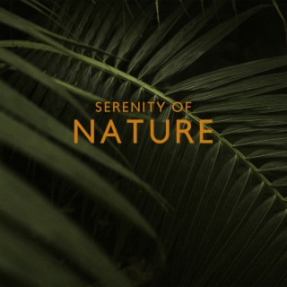 Serenity of Nature: Gentle Music with Rain Sounds In The Background for Calm Down Before Sleep, Peaceful Mind, Deep Relaxation