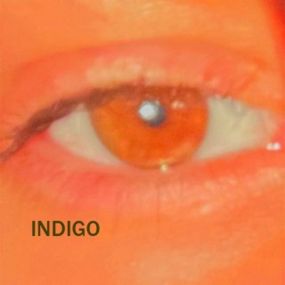 indigo