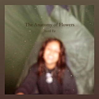 The Anatomy of Flowers lyrics | Boomplay Music