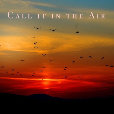 Call it in the Air ft. Schmorgle | Boomplay Music