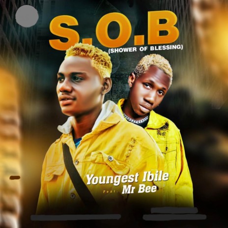 S.O.B (Shower Of Blessing) ft. Mr Bee | Boomplay Music