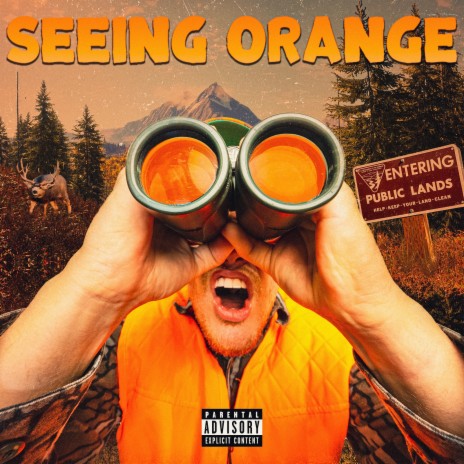 Seeing Orange | Boomplay Music