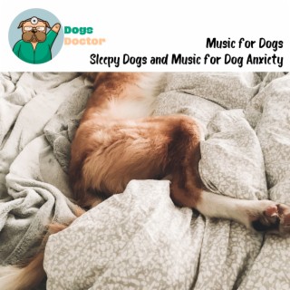 Music for Dogs: Soothing Dog Music, Dog Sleep, Pet Music, Sleepy Dogs and Music for Dog Anxiety