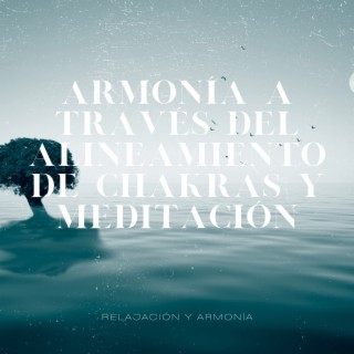 Armonía a través del Alineamiento de Chakras y Meditación