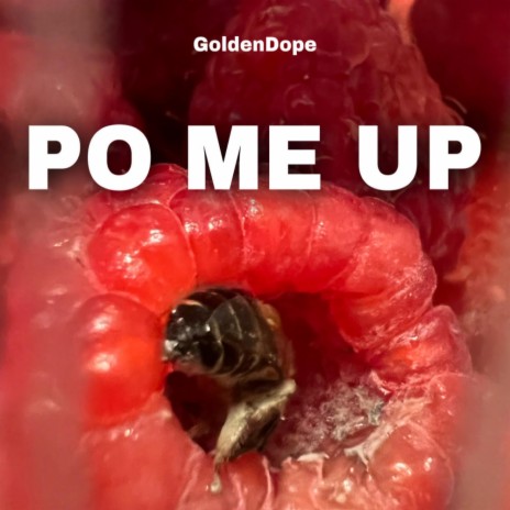 PO ME UP | Boomplay Music