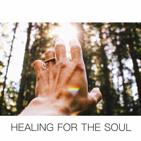 Healing For The Soul | Boomplay Music