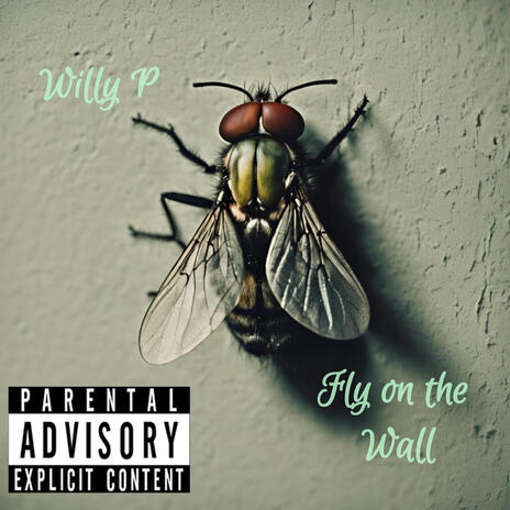 Fly On The Wall | Boomplay Music