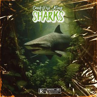 Sharks (Remix Remastered)