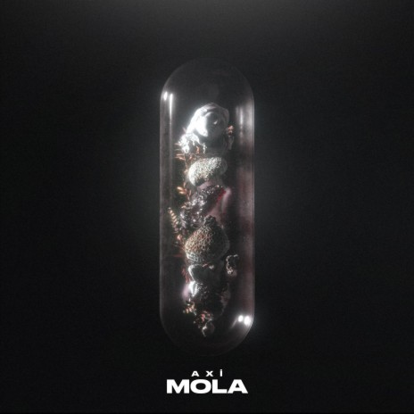 MOLA | Boomplay Music