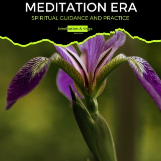 Meditation Era - Spiritual Guidance and Practice
