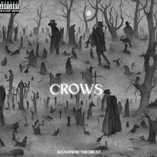 Crows