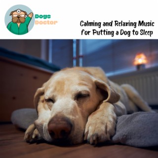 Calming and Relaxing Music for Putting a Dog to Sleep, Pet Therapy