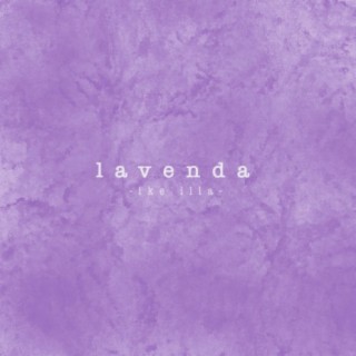 lavenda