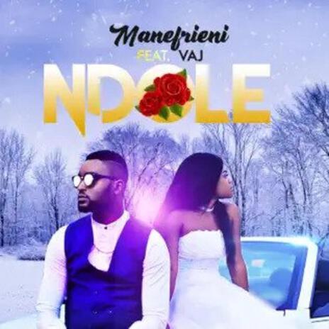 Ndole | Boomplay Music