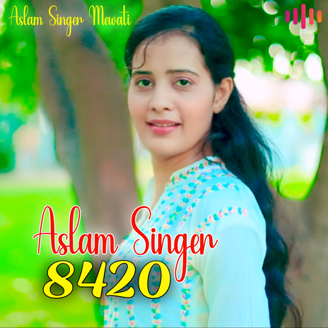 Aslam Singer 8420 | Boomplay Music