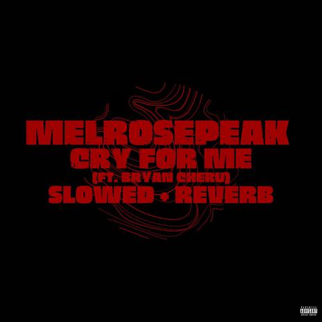 CRY FOR ME (SLOWED + REVERB) ft. BRYAN CHERU | Boomplay Music